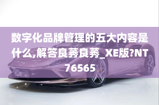 数字化品牌管理的五大内容是什么,解答良莠良莠_XE版?NT76565