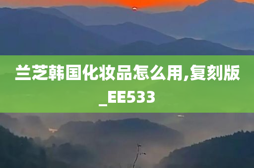 兰芝韩国化妆品怎么用,复刻版_EE533