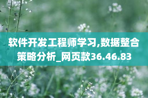 软件开发工程师学习,数据整合策略分析_网页款36.46.83