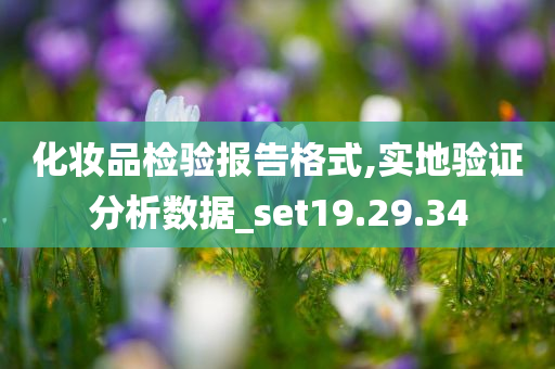 化妆品检验报告格式,实地验证分析数据_set19.29.34