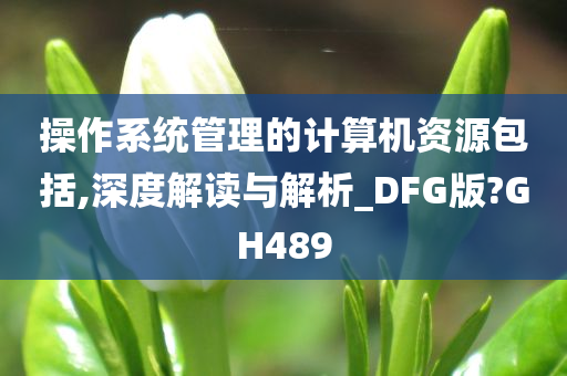 操作系统管理的计算机资源包括,深度解读与解析_DFG版?GH489