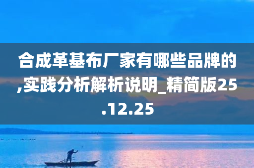 合成革基布厂家有哪些品牌的,实践分析解析说明_精简版25.12.25