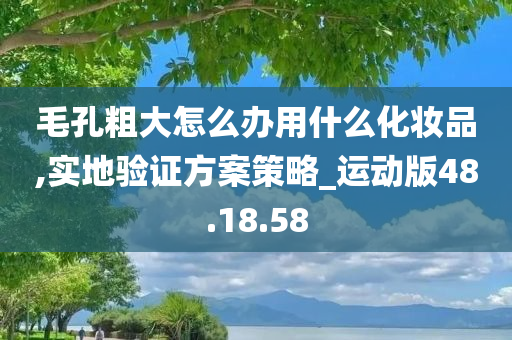 毛孔粗大怎么办用什么化妆品,实地验证方案策略_运动版48.18.58