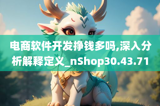 电商软件开发挣钱多吗,深入分析解释定义_nShop30.43.71