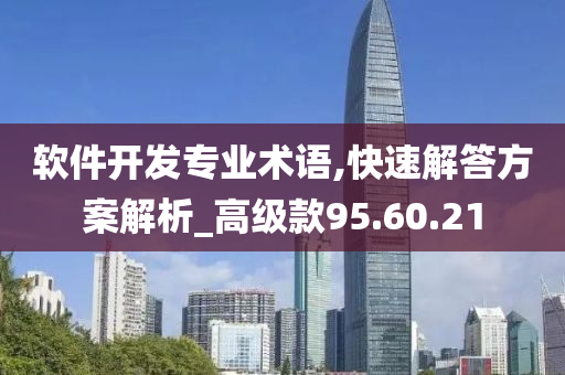 软件开发专业术语,快速解答方案解析_高级款95.60.21