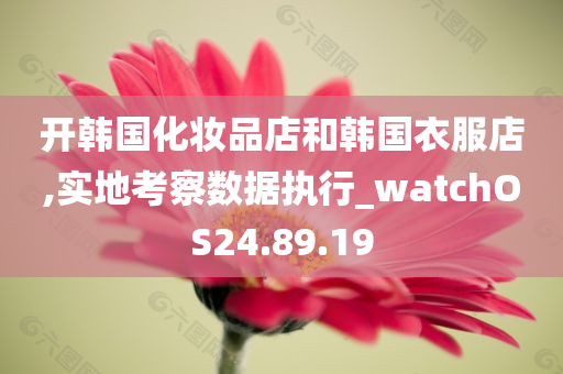 开韩国化妆品店和韩国衣服店,实地考察数据执行_watchOS24.89.19