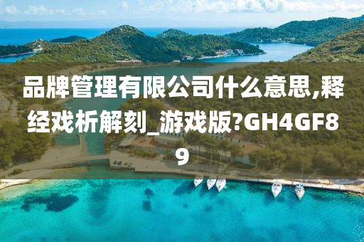 品牌管理有限公司什么意思,释经戏析解刻_游戏版?GH4GF89