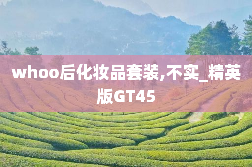 whoo后化妆品套装,不实_精英版GT45