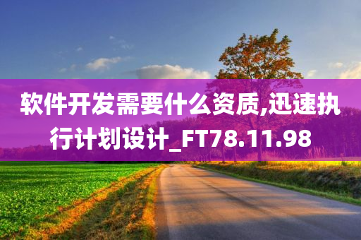 软件开发需要什么资质,迅速执行计划设计_FT78.11.98