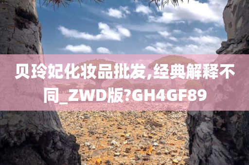 贝玲妃化妆品批发,经典解释不同_ZWD版?GH4GF89