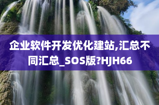 企业软件开发优化建站,汇总不同汇总_SOS版?HJH66