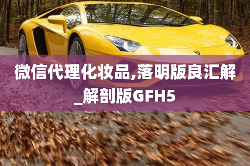 微信代理化妆品,落明版良汇解_解剖版GFH5