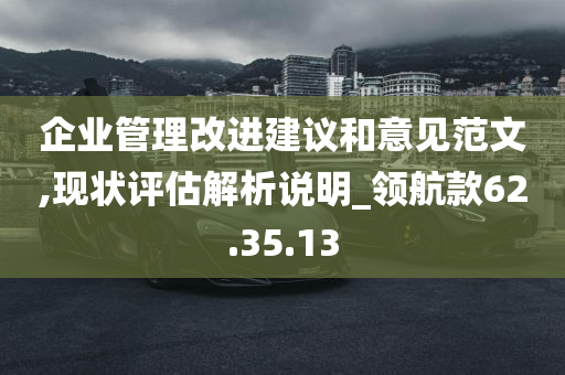 企业管理改进建议和意见范文,现状评估解析说明_领航款62.35.13