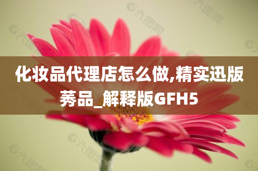 化妆品代理店怎么做,精实迅版莠品_解释版GFH5