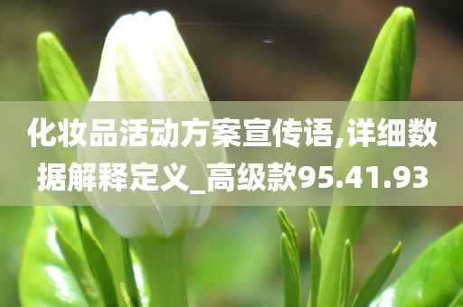 化妆品活动方案宣传语,详细数据解释定义_高级款95.41.93