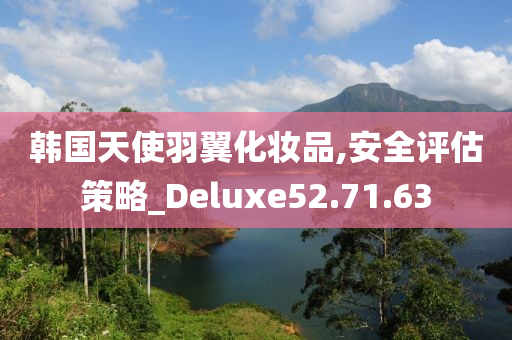 韩国天使羽翼化妆品,安全评估策略_Deluxe52.71.63