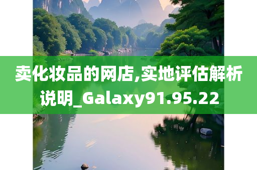 卖化妆品的网店,实地评估解析说明_Galaxy91.95.22