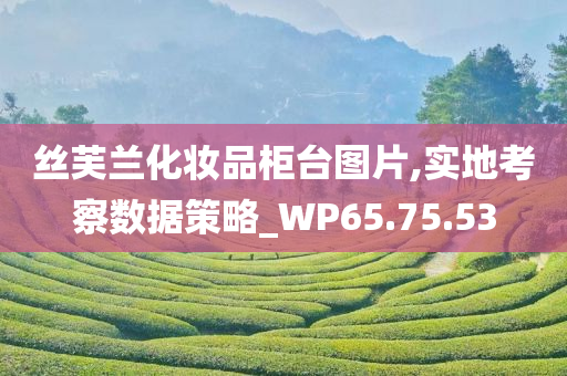 丝芙兰化妆品柜台图片,实地考察数据策略_WP65.75.53