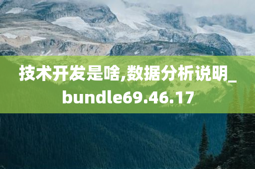 技术开发是啥,数据分析说明_bundle69.46.17