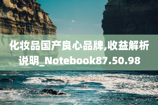 化妆品国产良心品牌,收益解析说明_Notebook87.50.98