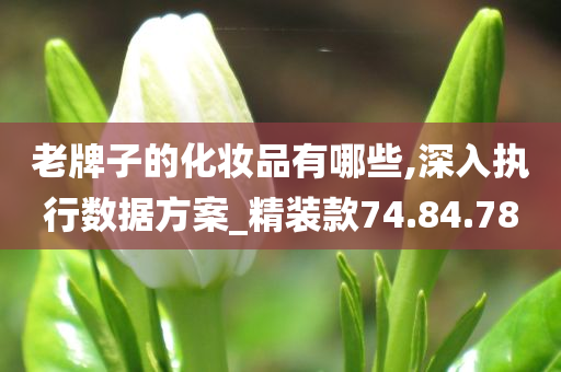 老牌子的化妆品有哪些,深入执行数据方案_精装款74.84.78