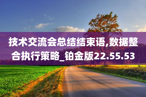 技术交流会总结结束语,数据整合执行策略_铂金版22.55.53