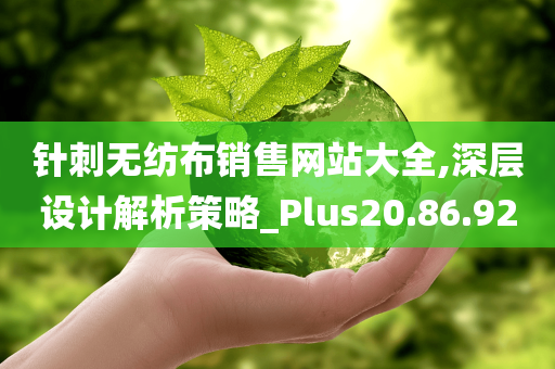 针刺无纺布销售网站大全,深层设计解析策略_Plus20.86.92