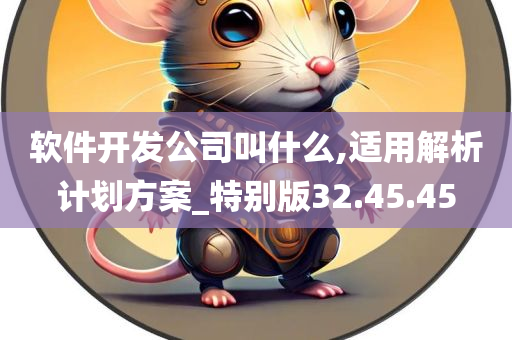 软件开发公司叫什么,适用解析计划方案_特别版32.45.45