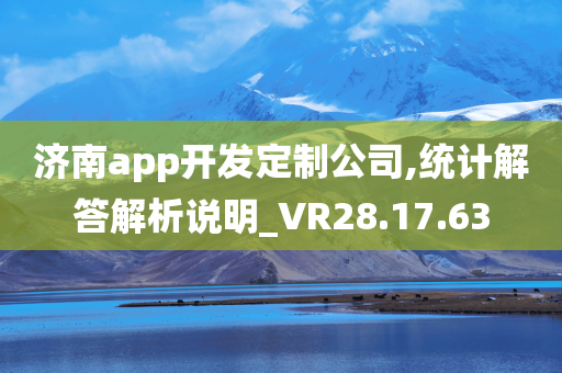 济南app开发定制公司,统计解答解析说明_VR28.17.63