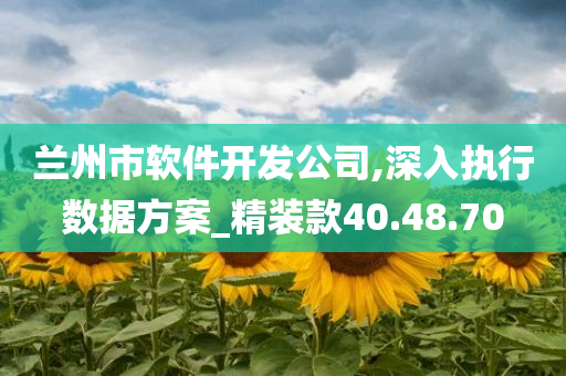 兰州市软件开发公司,深入执行数据方案_精装款40.48.70