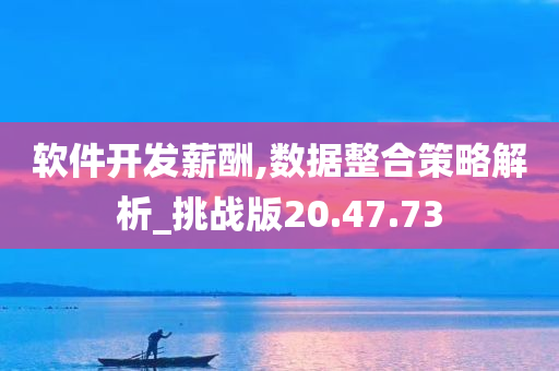 软件开发薪酬,数据整合策略解析_挑战版20.47.73