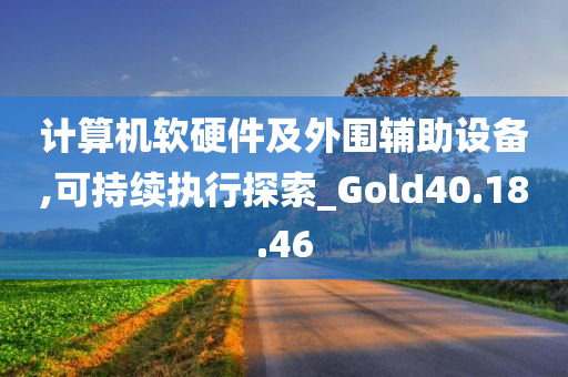 计算机软硬件及外围辅助设备,可持续执行探索_Gold40.18.46