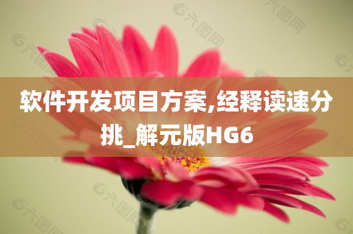 软件开发项目方案,经释读速分挑_解元版HG6