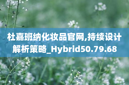 杜嘉班纳化妆品官网,持续设计解析策略_Hybrid50.79.68