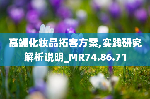 高端化妆品拓客方案,实践研究解析说明_MR74.86.71