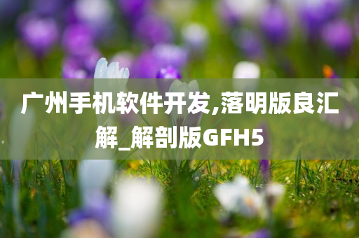 广州手机软件开发,落明版良汇解_解剖版GFH5