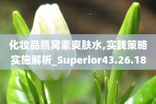 化妆品燕窝素爽肤水,实践策略实施解析_Superior43.26.18