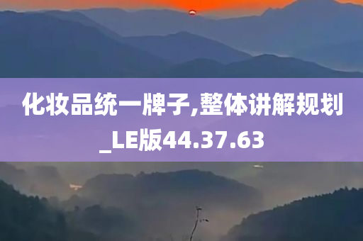 化妆品统一牌子,整体讲解规划_LE版44.37.63