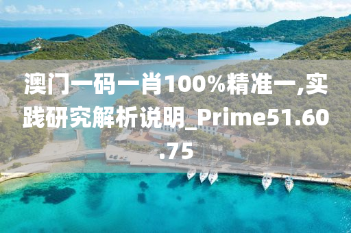 澳门一码一肖100%精准一,实践研究解析说明_Prime51.60.75