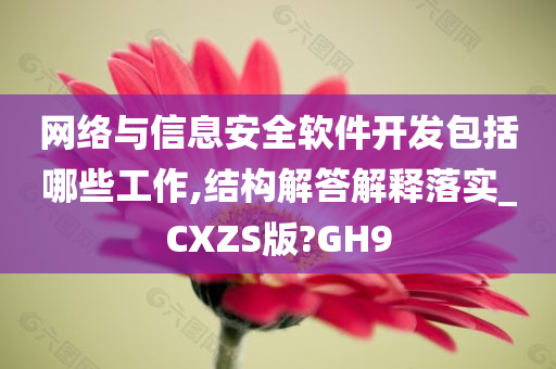 网络与信息安全软件开发包括哪些工作,结构解答解释落实_CXZS版?GH9