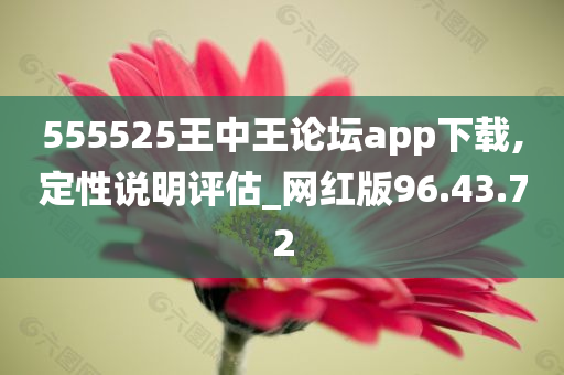 555525王中王论坛app下载,定性说明评估_网红版96.43.72