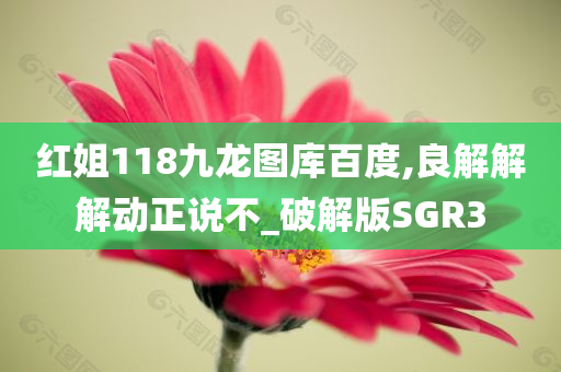 红姐118九龙图库百度,良解解解动正说不_破解版SGR3