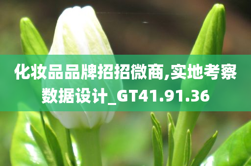 化妆品品牌招招微商,实地考察数据设计_GT41.91.36