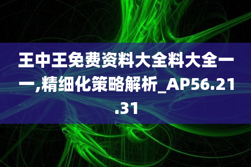 王中王免费资料大全料大全一一,精细化策略解析_AP56.21.31