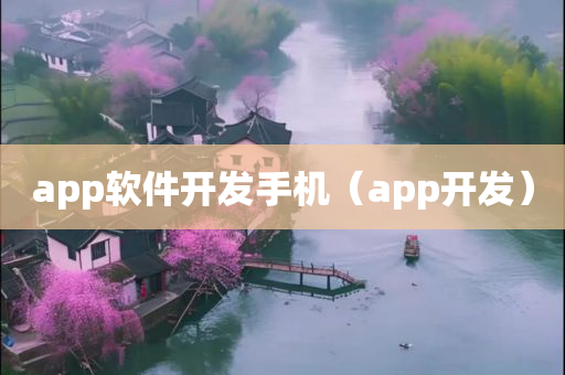 app软件开发手机（app开发）