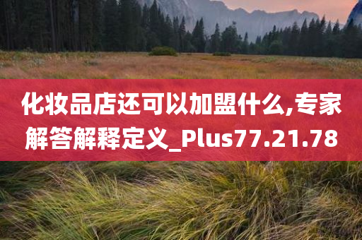 化妆品店还可以加盟什么,专家解答解释定义_Plus77.21.78