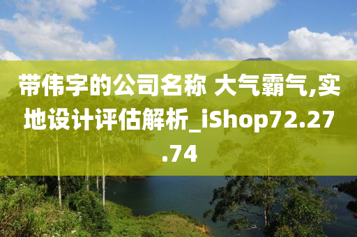 带伟字的公司名称 大气霸气,实地设计评估解析_iShop72.27.74