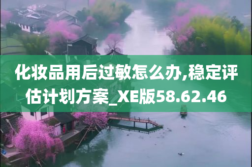 化妆品用后过敏怎么办,稳定评估计划方案_XE版58.62.46