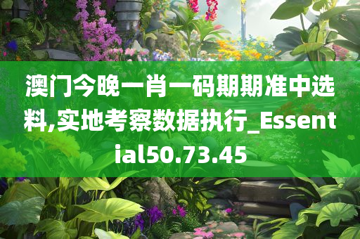 澳门今晚一肖一码期期准中选料,实地考察数据执行_Essential50.73.45