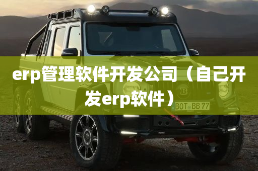 erp管理软件开发公司（自己开发erp软件）